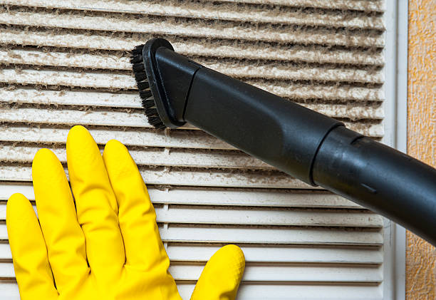 Best Local Air Duct Cleaning Services  in Dexter, GA